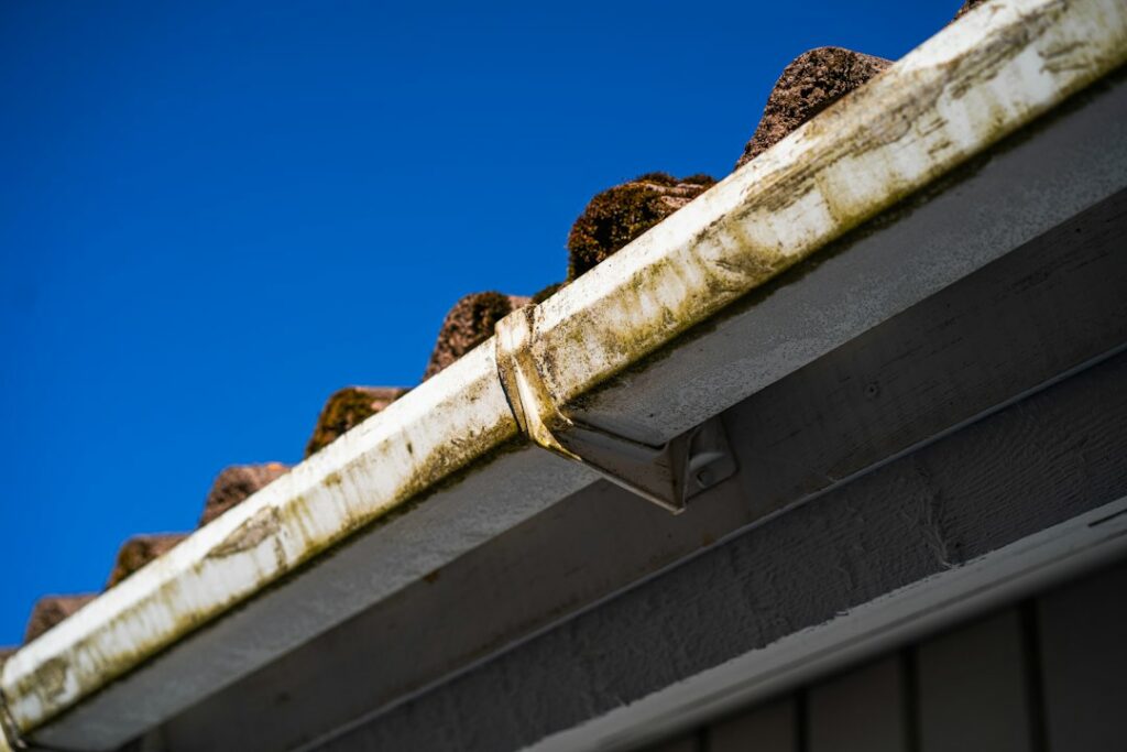 Gutters clogged with debris along a roofline